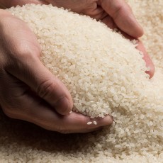 국내산 단일품종 여주 진상미 4kg